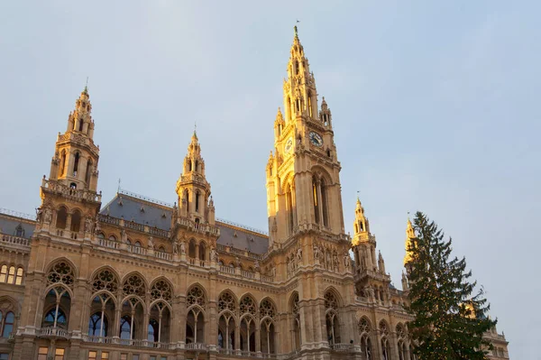 Câmara Municipal Viena Áustria — Fotografia de Stock