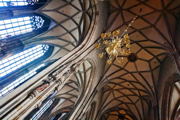 Wnętrze Katedry Wiedeń Austria — Zdjęcie stockowe