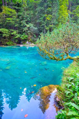 Bernese Highlands 'deki Blausee Gölü, İsviçre