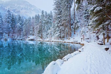 Bernese Highlands 'ta Blausee Gölü, İsviçre