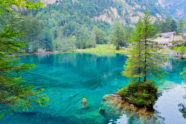 Lago Blausee Bernese Highlands Durante Verão Suíça — Fotografia de Stock