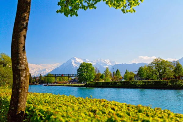 Beautiful Thun City Lake Thunersee Swiss Alps Switzerland — стоковое фото