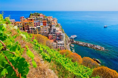 Cinque Terre, Liguria, İtalya 'daki renkli köy Manarola' nın panoramik manzarası