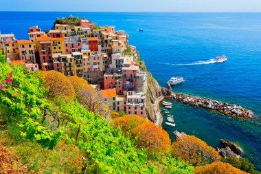 Cinque Terre, Liguria, İtalya 'daki renkli köy Manarola' nın panoramik manzarası