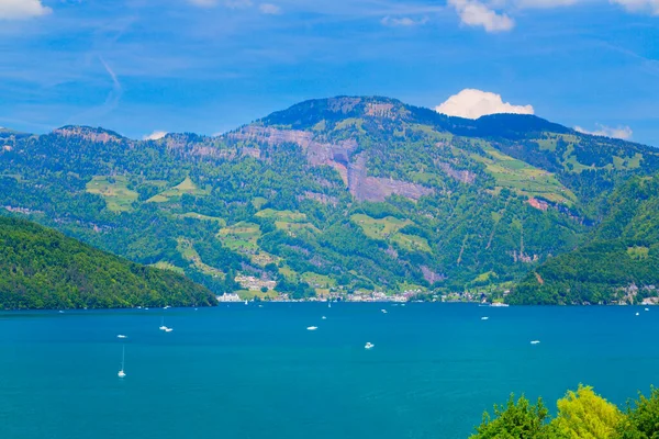 Kilátás Luzern Tóra Svájci Alpokra Svájcra — Stock Fotó