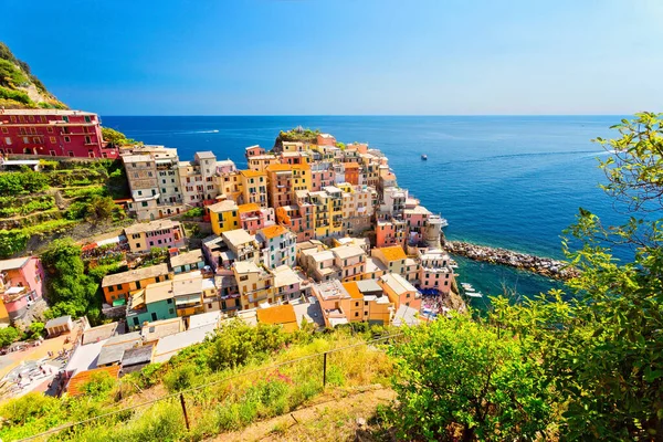 Vue Panoramique Village Coloré Manarola Dans Les Cinque Terre Ligurie — Photo