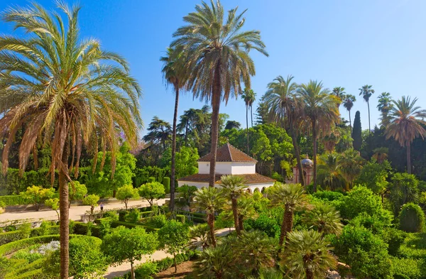 Incredibile Parco Real Alcazar Sevilla Siviglia Andalusia Spagna — Foto Stock