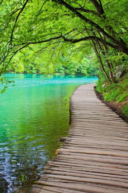 Güzel Şelale, Plitvice Gölleri, Hırvatistan