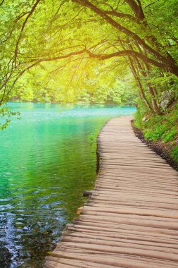 Güzel Şelale, Plitvice Gölleri, Hırvatistan