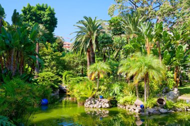 Monte Carlo, Monako 'daki Japon Bahçesi