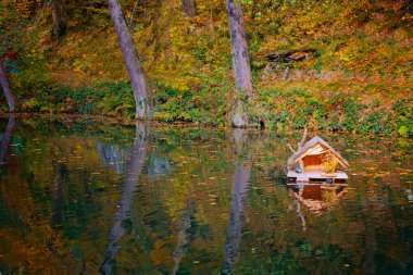Sonbaharda güzel bir park, Dresden, Almanya