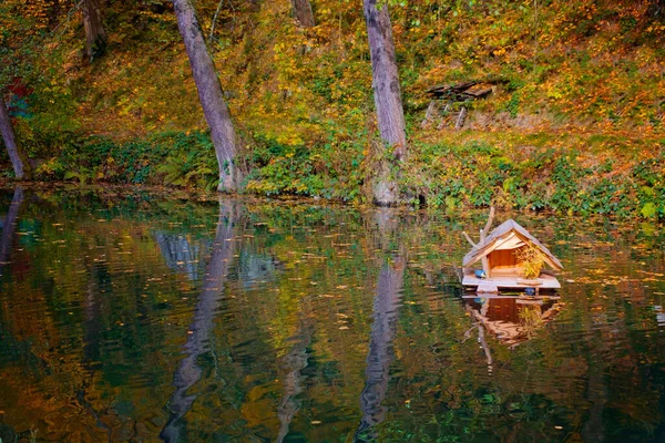 Sonbaharda güzel bir park, Dresden, Almanya