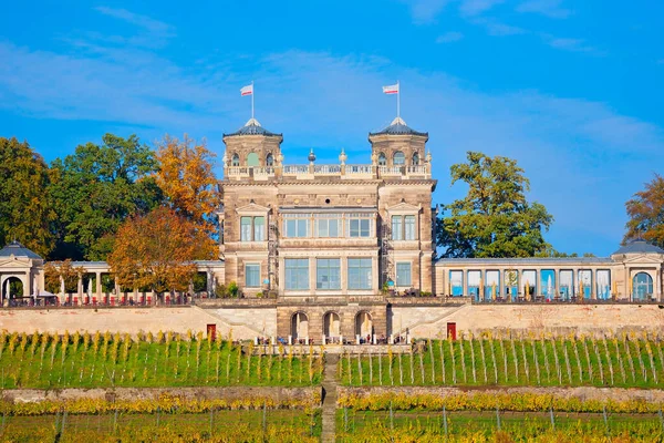 Beautiful Castle Elbe River Dresden Germany — Stock fotografie