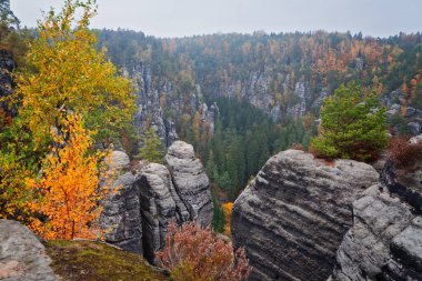 Almanya, Dresden yakınlarındaki Sakson İsviçre Ulusal Parkı