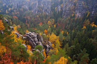 Autumn in Saxon Switzerland near Dresden, Germany