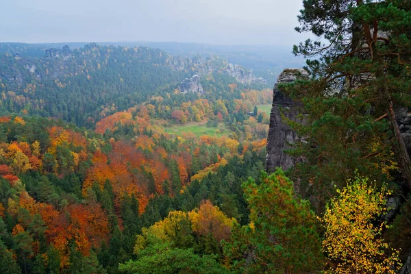 Národní Park Saské Švýcarsko Drážďan Německo — Stock fotografie