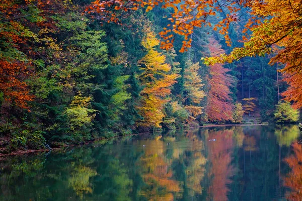 Autumn Saxon Switzerland Dresden Germany — Stock fotografie