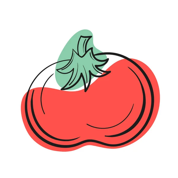 Linha de tomate vetorial e mancha abstrata em fundo isolado branco. — Vetor de Stock
