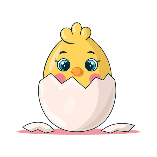 小鸡是在白色孤立背景的蛋中孵出的. — 图库矢量图片