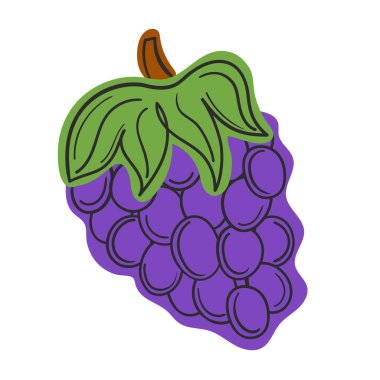 Vektör illüstrasyon yaz meyvesi mor üzüm Soyut dolgu ile bir satır