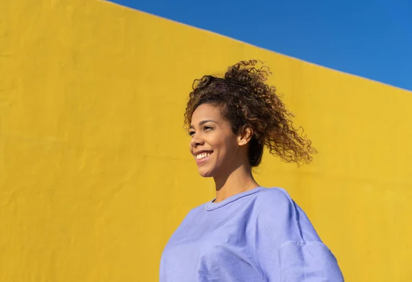 Mujer Brasileña Negra Sonriendo Con Luz Solar Fotos De Stock