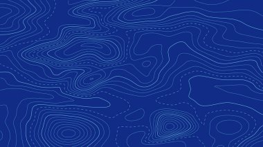 Topografik harita arkaplanı. Şebeke haritası. Sınır çizgilerinin şekli. Vektör illüstrasyonu