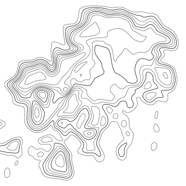 Topográfiai Térkép Háttér Rácstérkép Kontúrvonalak Mintázata Vektorillusztráció — Stock Vector