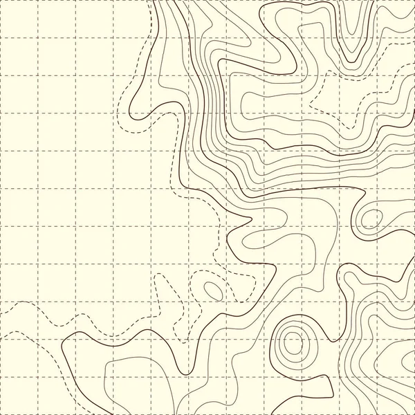 Carte Topographique Arrière Plan Carte Grille Modèle Lignes Contour Illustration — Image vectorielle
