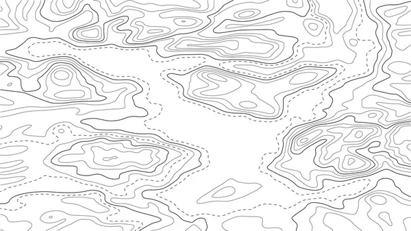 Carte Topographique Arrière Plan Carte Grille Modèle Lignes Contour Illustration — Image vectorielle