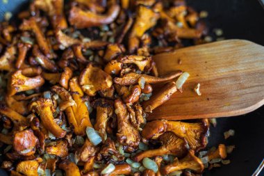 Soğanlı çiğ chanterelle mantarı kızart, düz, yatay