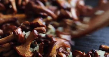 Kızarmış taze mantarlı ve soğanlı mantarı karıştırmayı bitir.