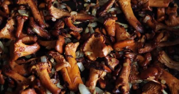 Smažit Čerstvé Horké Chanterelle Houby Cibulí — Stock video