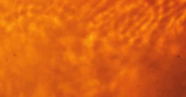Latar Belakang Abstrak Oranye Kabur Dengan Air — Stok Video