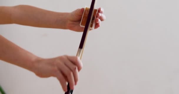 若い音楽家ロシン ボウは楽器を演奏する前に — ストック動画