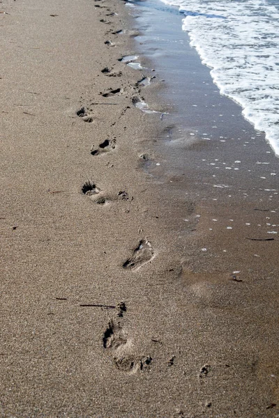 Kumlu Sahilde Köpüklü Deniz Arkası Sörfü Ayak Izleri Üst Manzara — Stok fotoğraf