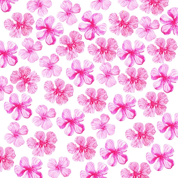 Patrón Acuarela Flores Rosadas Sobre Fondo Blanco Uso Para Tela — Foto de Stock