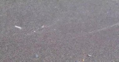 Sörf, deniz dalgası kumsalda bulur ve geri çekilir.