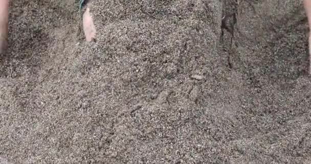 Похоронить Себя Песке Руками Пляже Семейный Отдых — стоковое видео