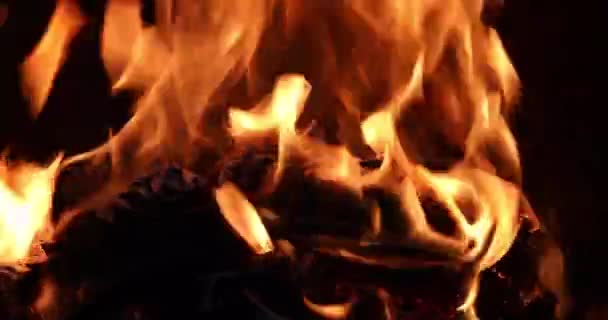Siyah Zemin Üzerinde Ateş Alevi Yatay — Stok video