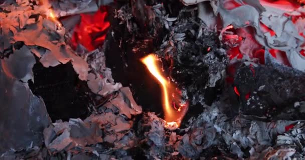 Burn Old Notebook Strive New Fire Horizontal — Wideo stockowe