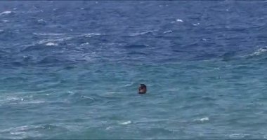 Rüzgarlı havada denizde uçurtma eğitimi, aktif dinlenme, yararlı