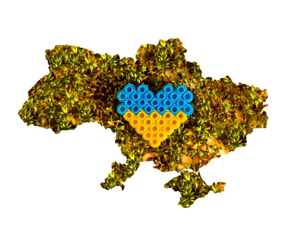 Zeleninový Prapor Mapě Ukrajiny Vlajkou Ukrajiny Podobě Srdce Spolu Ukrajinským — Stock fotografie