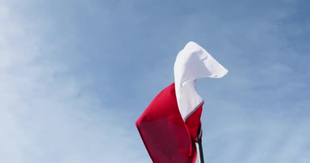 波兰国旗高举蓝天 象征着在对俄战争中对乌克兰的支持 — 图库视频影像