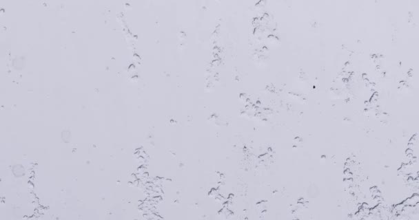 Abstrakt Bakgrund Våt Snö Droppar Flyter Ner Glas Horisontell — Stockvideo