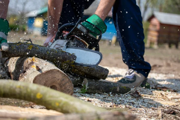 Worker Sawing Chainsaw Pieces Long Trunk Tree Farm Work — Stok Foto