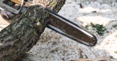 Büyük bir ağaç gövdesini parçalara ayırmak, bir bahçıvanın işi.