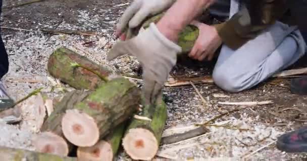 Collect Together Whole Family Sawn Firewood Heating — Stock video