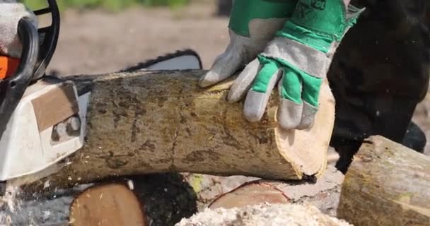 Worker Sawing Chainsaw Pieces Long Trunk Tree Farm Work — 비디오