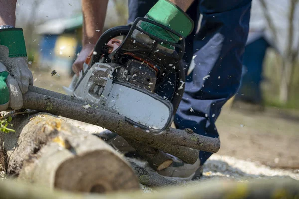 Sawing Raw Big Tree Chainsaw Street Work — Stok Foto