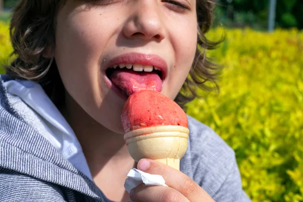 Happy Boy Enjoys Taste Strawberry Natural Ice Cream Walk Sunny —  Fotos de Stock